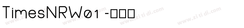 TimesNRW01 字体转换